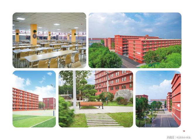 ng28南宫师大教诲专升本丨山东专升本培训行业标杆(图2)