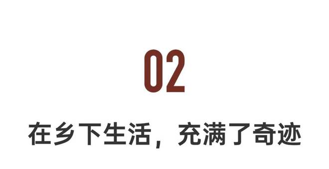 南宫28NG国际一个作家隐居山中9年：人该当做本人喜好的工作猖獗一点(图5)