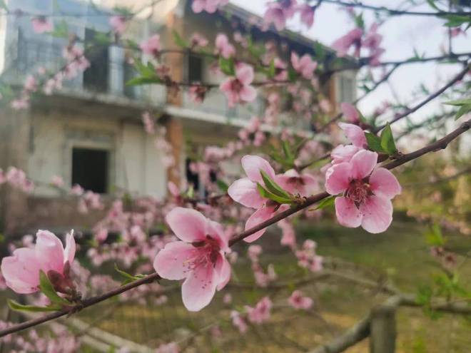 南宫28NG国际一个作家隐居山中9年：人该当做本人喜好的工作猖獗一点(图10)